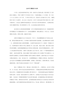 会计手工模拟实习心得