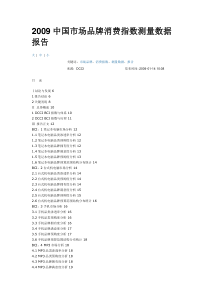 XXXX中国市场品牌消费指数测量数据报告