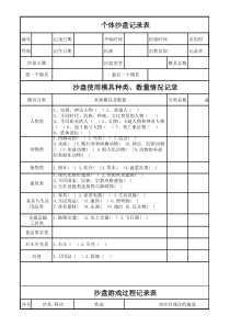 个体沙盘记录表