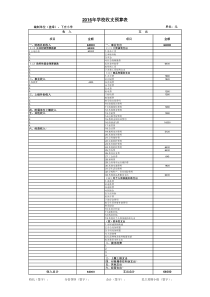 学校年度收支预算表