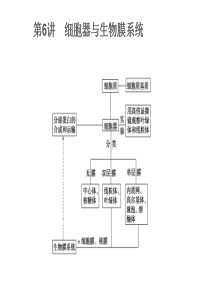 细胞器与生物膜系统