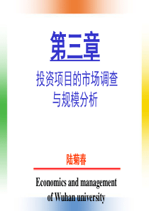 投资项目可行性分析-第三章-市场与规模