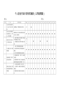 个人安全行动计划总版