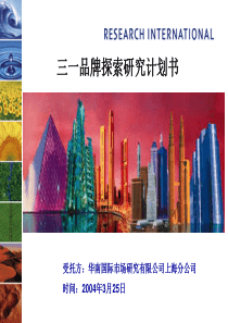 三_品牌发展研究计划书(RE)（PPT48页)