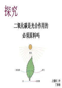 初中生物创新实验说课