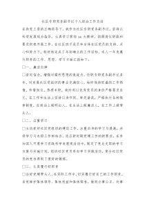 社区专职党务副书记个人综治工作总结