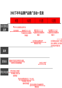 东风雪铁龙品牌推广方案