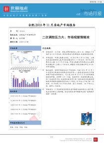 XXXX年11月合肥房地产市场报告_世联