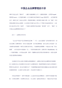 中国企业品牌管理启示录(doc9)(1)