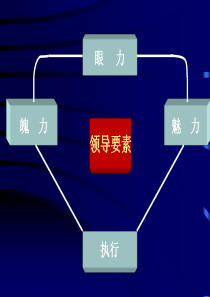 领导力与执行(XXXX-MBA-0)