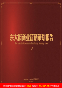XXXX年2月南通市海安县东大街商业营销策划报告