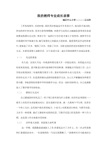 我的教师专业成长故事