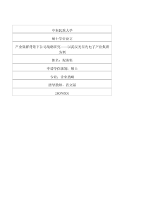 产业集群背景下公司战略研究——以武汉光谷光电子产业集群为例