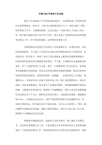 乡镇2009年组织工作总结