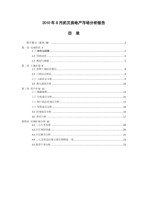 XXXX年8月武汉房地产市场分析报告_33页