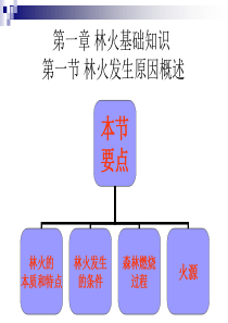 第一章-林火基础知识-第一节林火发生原因概述