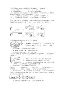 高中生物必修一光合和呼吸复习题