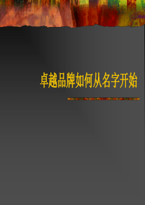 卓越品牌如何从名字开始(PPT 25)