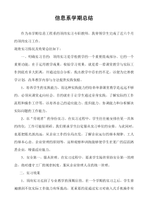 顶岗实习指导老师工作总结