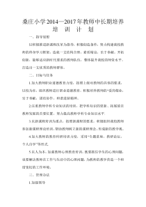 教师中长期培养培训计划