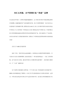 双汇玉米肠：水平营销打造“热迷”品牌(doc12)(1)