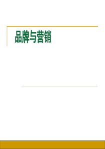 品牌与营销--经销商为何要进行品牌经营(ppt 111)