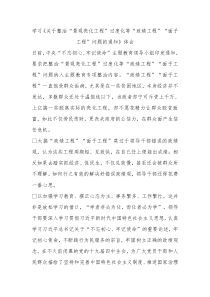 学习关于整治景观亮化工程过度化等政绩工程面子工程问题的通知体会