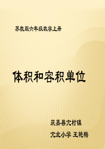 苏教版六年级数学体积和容积单位-(1)