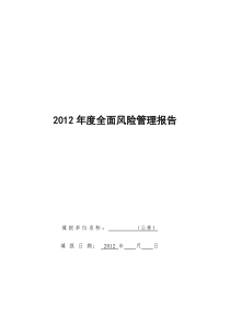 XXXX年度全面风险管理报告