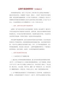 品牌升级战略管理杉杉集团公司