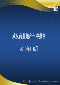 XXXX年武汉商业年中报告