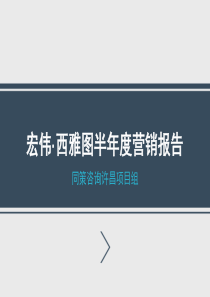 XXXX年河南许昌宏伟西雅图半年度营销报告40页