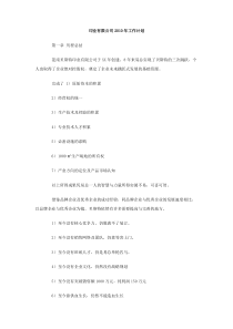 印业有限公司2010年工作计划