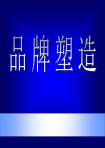 品牌塑造（PPT173页）