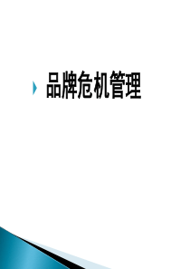 XXXX年重庆房地产市场年度报告_63页