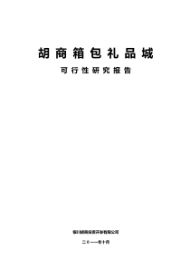 XX年10月银川市兴庆区胡商箱包礼品城可行性研究报告