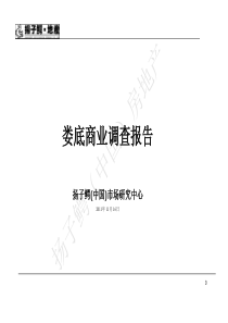 XX年11月湖南娄底商业地产调查报告_104页