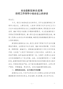 在全县新型冠状病毒感染的肺炎疫情防控工作领导小组会议上的讲话