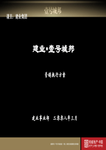 X年3月郑州建业壹号城邦营销策划报告