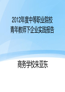 X年度中等职业院校实践报告