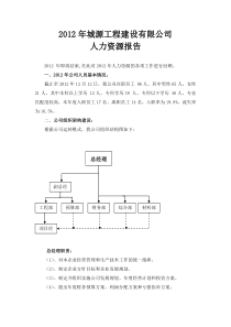 X年度公司人力资源工作报告