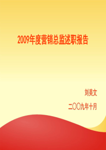 X年度营销总监述职报告1017