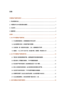 《XXXX年度中国房地产政策评估报告》