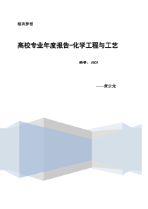 《高校专业年度报告》化学工程与工艺图片版