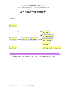 万科东海岸年度策划报告