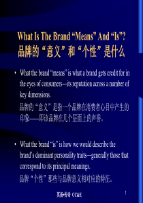 品牌的“意义”和“个性”是什么(PPT 108)