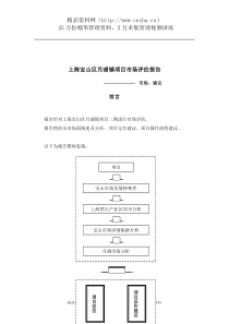 上海宝山区月浦镇项目市场评估报告