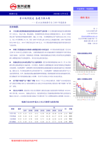 东兴证券-铁路行业X年度报告