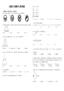 人教版八年级数学上期末总复习试题(绝对经典)