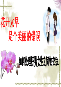 主题班会-早恋-美丽的错误